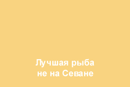 Image is loading