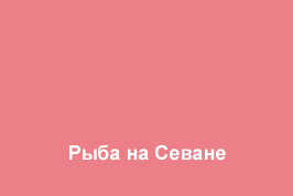 Image is loading